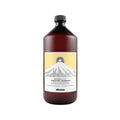Davines Purifying Shampoo - Anti-Dandruff Formula, 1000 ml for Healthier Scalp